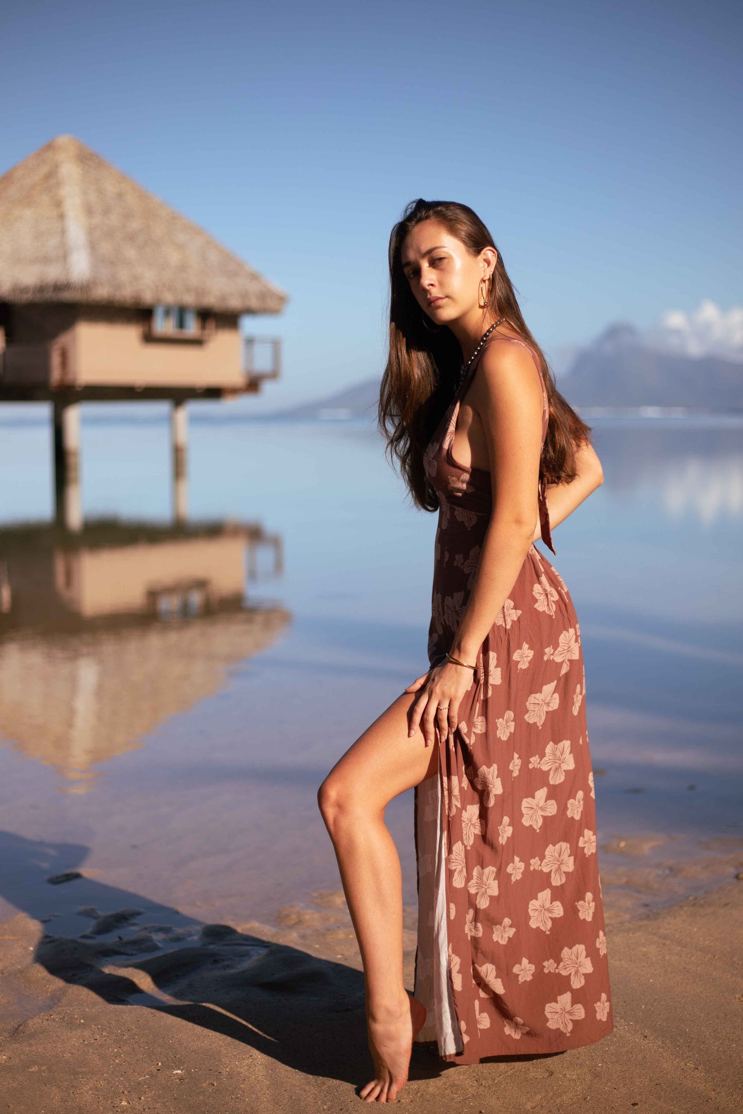 Jazz Dress - Brown Aute