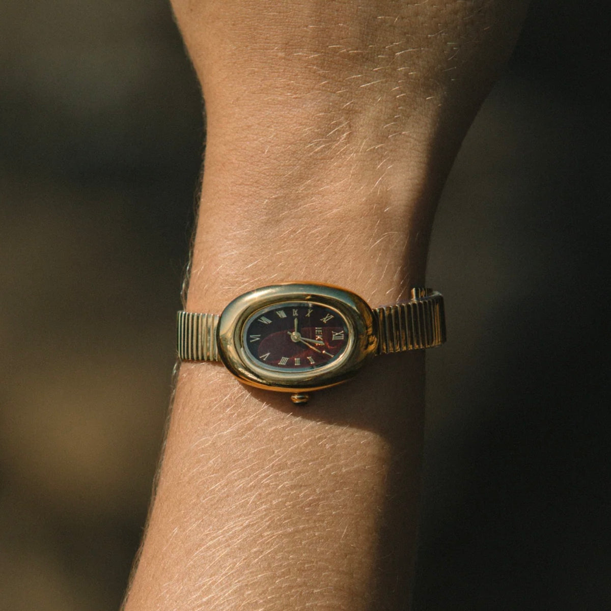 MONTRE Wolf GJM009 MONTRE 18022026