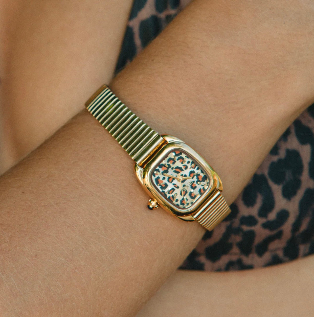 GJM015 - COUGAR  GUERCHON JEWELRY 7042026