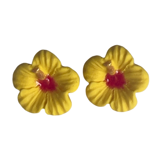 BABY HIBISCUS JAUNE CŒUR ROUGE   RUE ROSE 22092026