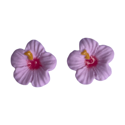 BABY HIBISCUS ROSE CLAIRE   RUE ROSE 22092026
