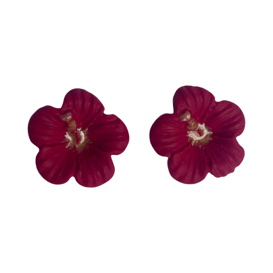 BABY HIBISCUS ROUGE   RUE ROSE 22092026